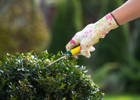 Professional pressure washing service in Soho cleaning a building exterior.