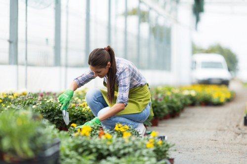 Gardener trimming hedges during the ideal season
