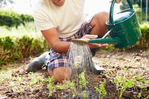 Professional garden maintenance services in action in Soho