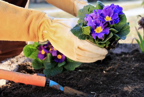 Sustainable gardening practices in a Soho urban garden