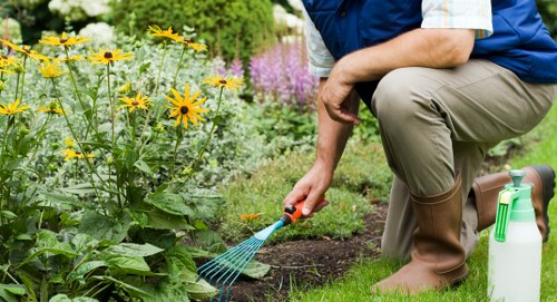 Professional pressure washing equipment