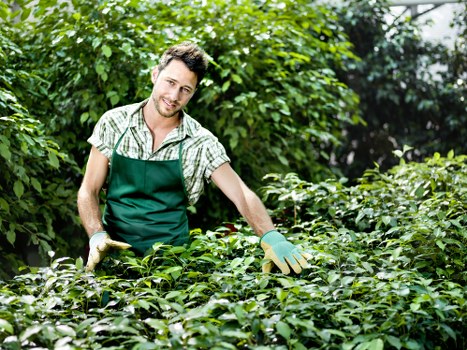Gardener using essential tools for garden maintenance in Soho
